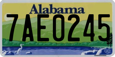 AL license plate 7AE0245