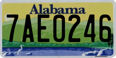 AL license plate 7AE0246