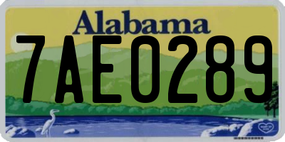AL license plate 7AE0289