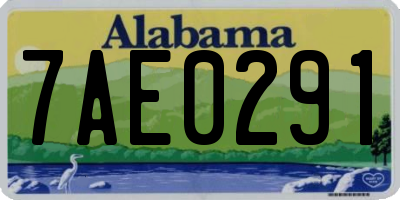 AL license plate 7AE0291