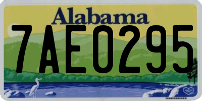 AL license plate 7AE0295