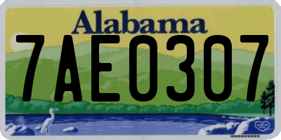 AL license plate 7AE0307