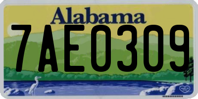 AL license plate 7AE0309