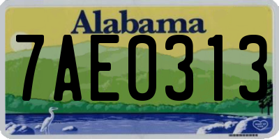 AL license plate 7AE0313