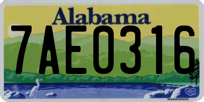 AL license plate 7AE0316