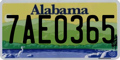 AL license plate 7AE0365