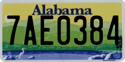 AL license plate 7AE0384