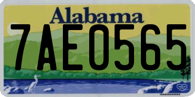 AL license plate 7AE0565