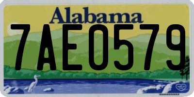 AL license plate 7AE0579