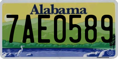 AL license plate 7AE0589