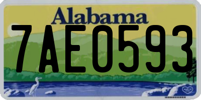 AL license plate 7AE0593