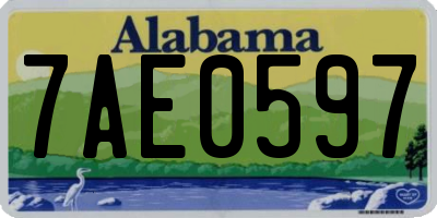 AL license plate 7AE0597