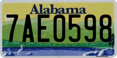 AL license plate 7AE0598