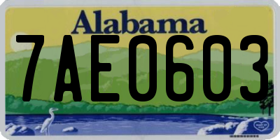 AL license plate 7AE0603