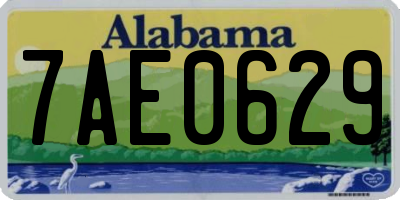 AL license plate 7AE0629
