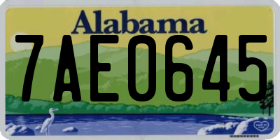 AL license plate 7AE0645