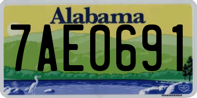 AL license plate 7AE0691
