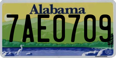 AL license plate 7AE0709