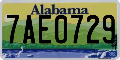 AL license plate 7AE0729