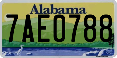 AL license plate 7AE0788
