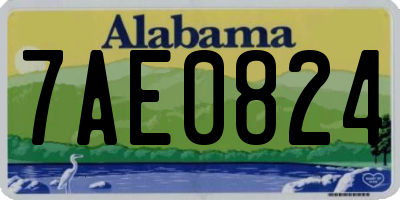 AL license plate 7AE0824