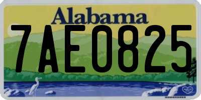 AL license plate 7AE0825