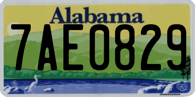 AL license plate 7AE0829