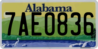 AL license plate 7AE0836