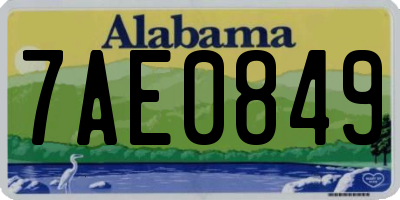 AL license plate 7AE0849