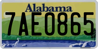 AL license plate 7AE0865