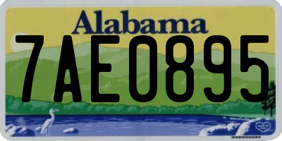 AL license plate 7AE0895
