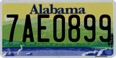 AL license plate 7AE0899