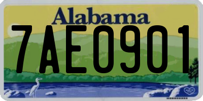AL license plate 7AE0901