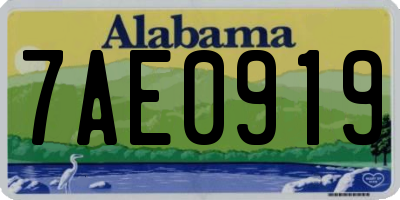 AL license plate 7AE0919