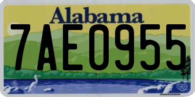 AL license plate 7AE0955