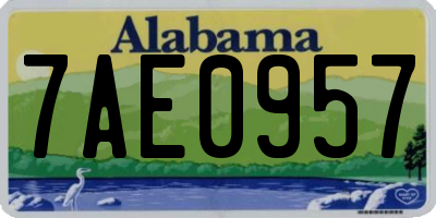 AL license plate 7AE0957
