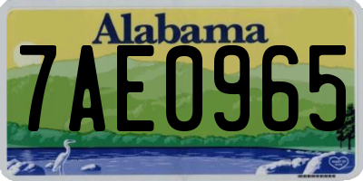 AL license plate 7AE0965