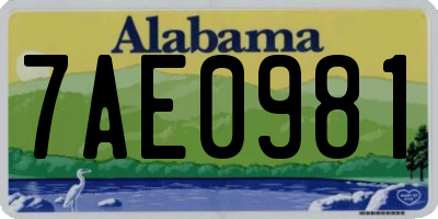 AL license plate 7AE0981