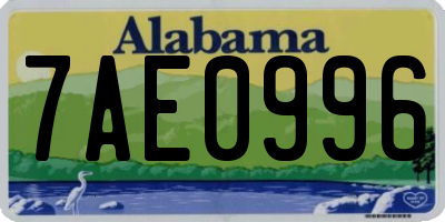 AL license plate 7AE0996