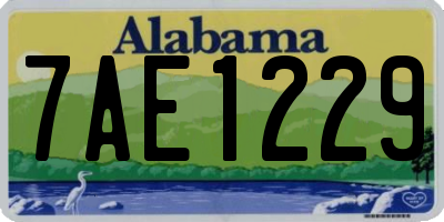 AL license plate 7AE1229