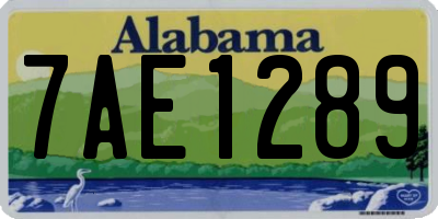 AL license plate 7AE1289
