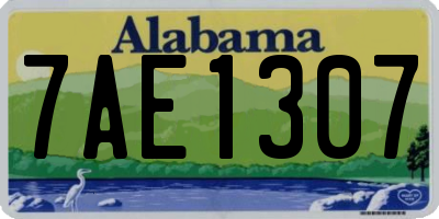 AL license plate 7AE1307