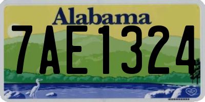 AL license plate 7AE1324