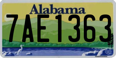 AL license plate 7AE1363