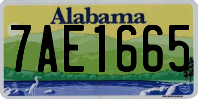 AL license plate 7AE1665