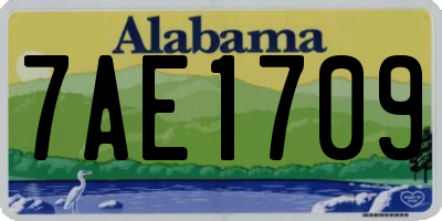 AL license plate 7AE1709