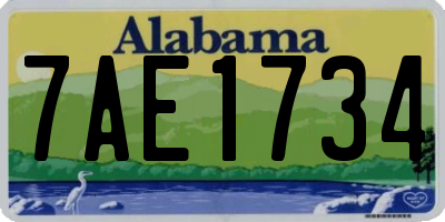AL license plate 7AE1734