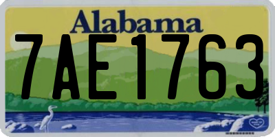 AL license plate 7AE1763
