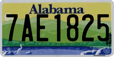 AL license plate 7AE1825