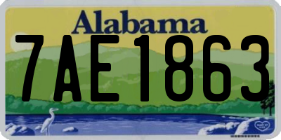 AL license plate 7AE1863
